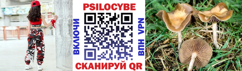 Купить  Тогучин  Псилоцибиновые грибы ЛСД 